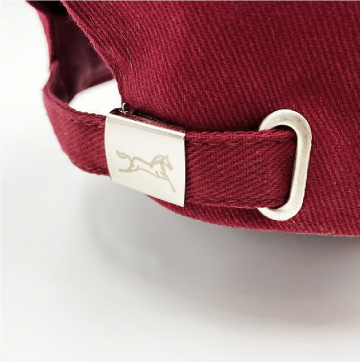 Fager pet rood achterkant