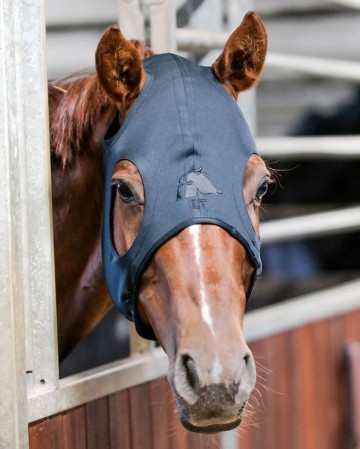 Fenwick liquid titanium calming mask1