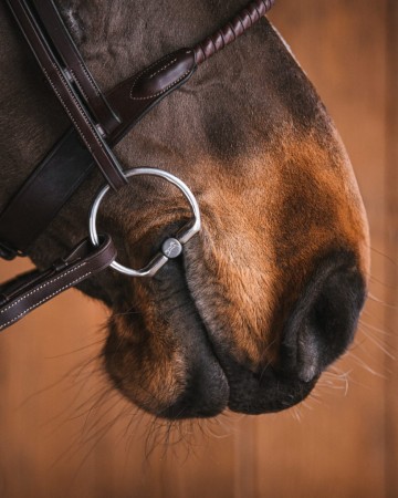 Titanium bustrens LAURA