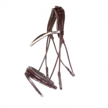 Rondgenaaid hoofdstel Florina