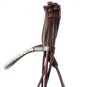 Rondgenaaid hoofdstel Florina