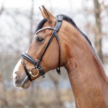 Rondgenaaid hoofdstel Florina zwart