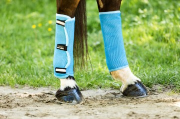 Equine Microtec Cooling boots