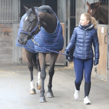 Halifax 2in1 stal- en stapmolendeken