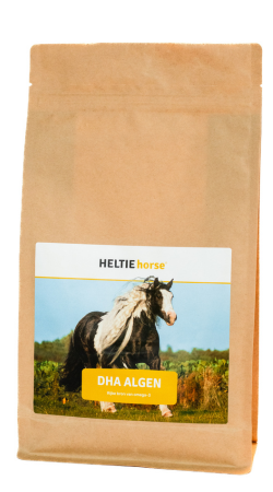 Heltie horse dha algen 1
