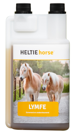 Heltie horse lymfe