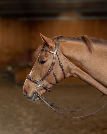 HFI hoofdstel hackamore