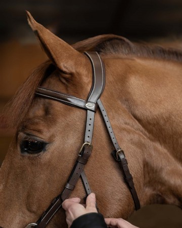 Hfi hackamore hoofdstel1