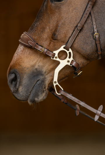 Hfi hackamore neusriem