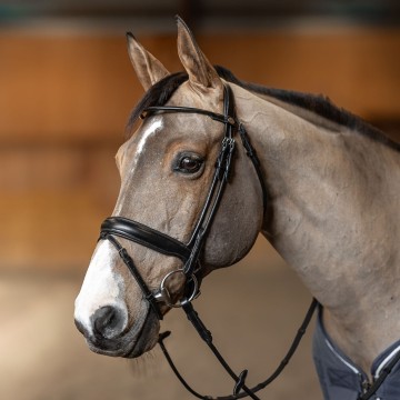 Hfi hoofdstel round1