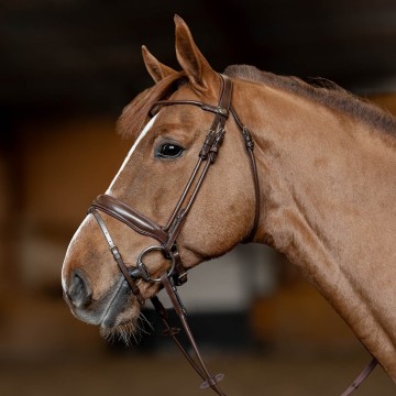 Hfi hoofdstel round2