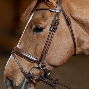 Hfi hoofdstel round4