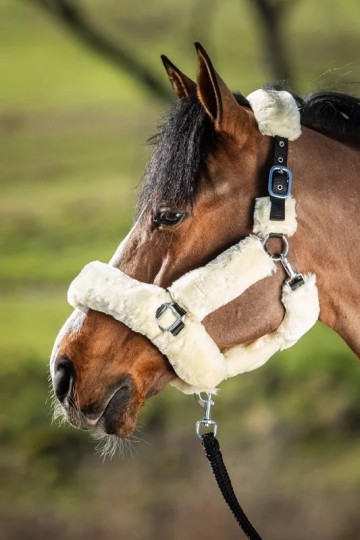 Hfi transporthalster beige