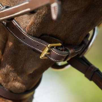 HFI hoofdstel Functional