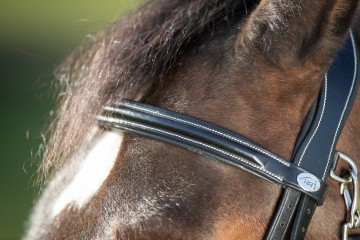 HFI hoofdstel Functional