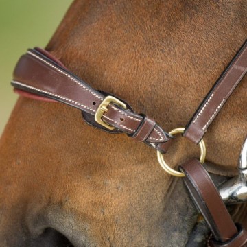 HFI hoofdstel lage neusriem