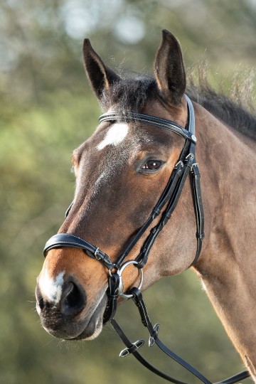 HFI hoofdstel lage neusriem