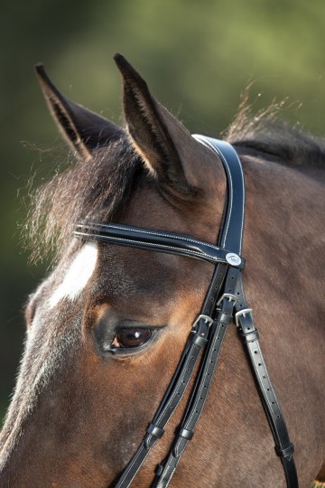 HFI hoofdstel lage neusriem