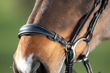 HFI hoofdstel lage neusriem