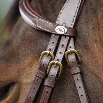 HFI hoofdstel Mexican