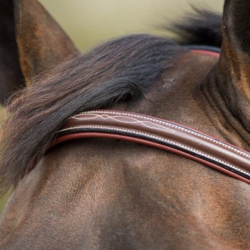 HFI hoofdstel Mexican