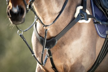 HFI 5 punts borsttuig