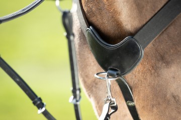 HFI 5 punts borsttuig