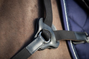 HFI 5 punts borsttuig