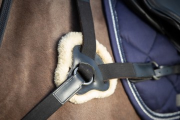 HFI 5 punts borsttuig