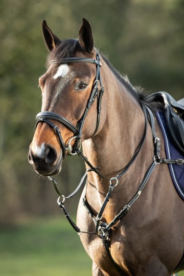 HFI lederen borsttuig zwart