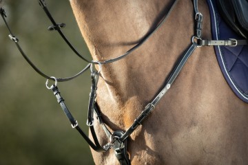 HFI lederen borsttuig zwart