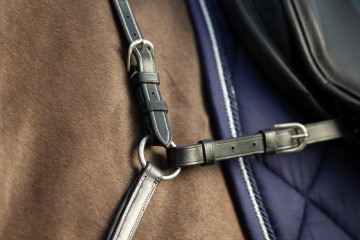 HFI lederen borsttuig zwart