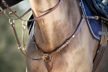 HFI lederen borsttuig bruin