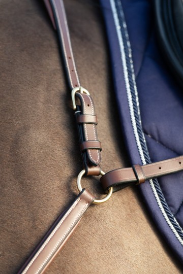 HFI lederen borsttuig bruin