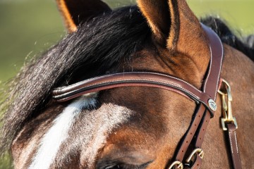 HFI hoofdstel Techno