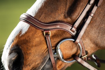 HFI hoofdstel Techno