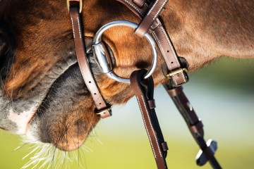 HFI hoofdstel Techno