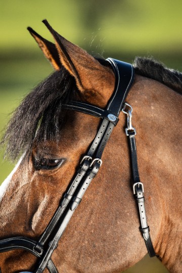 HFI hoofdstel Techno