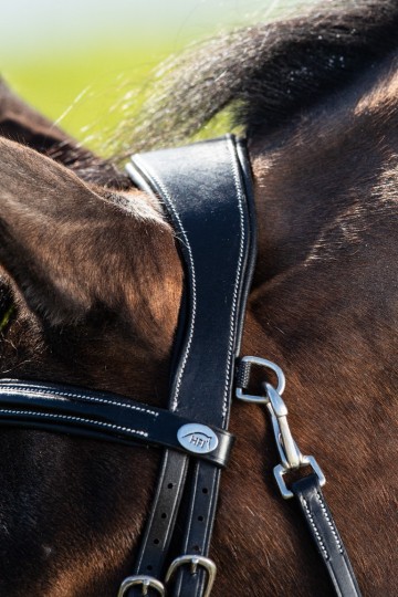 HFI hoofdstel Techno