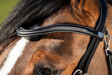 HFI hoofdstel Techno