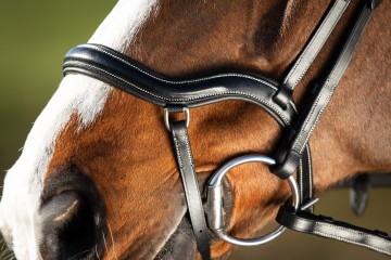 HFI hoofdstel Techno