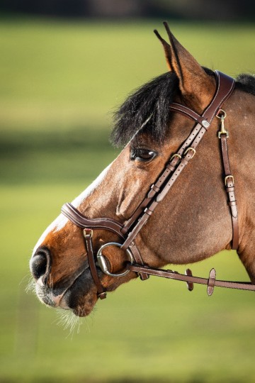 HFI hoofdstel Techno