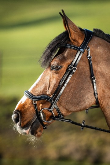 HFI hoofdstel Techno