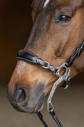 Hfi hackamore neusriem