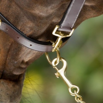 HFI halster Grooming