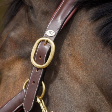 HFI halster Grooming