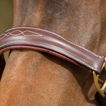 HFI halster Grooming