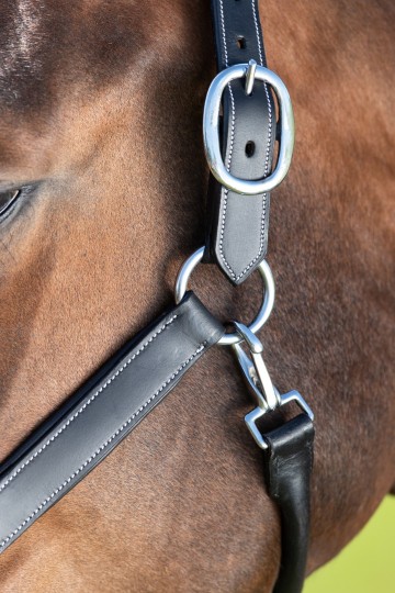 HFI halster Grooming