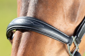 HFI halster Grooming