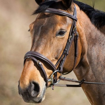 HFI hoofdstel Elegant